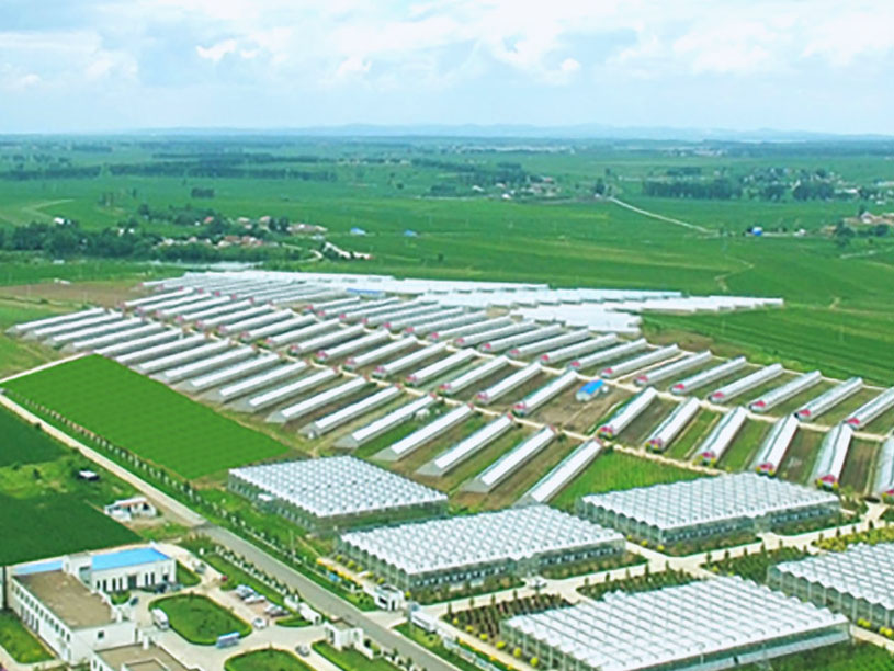 mg不朽情缘(中国)官方网站