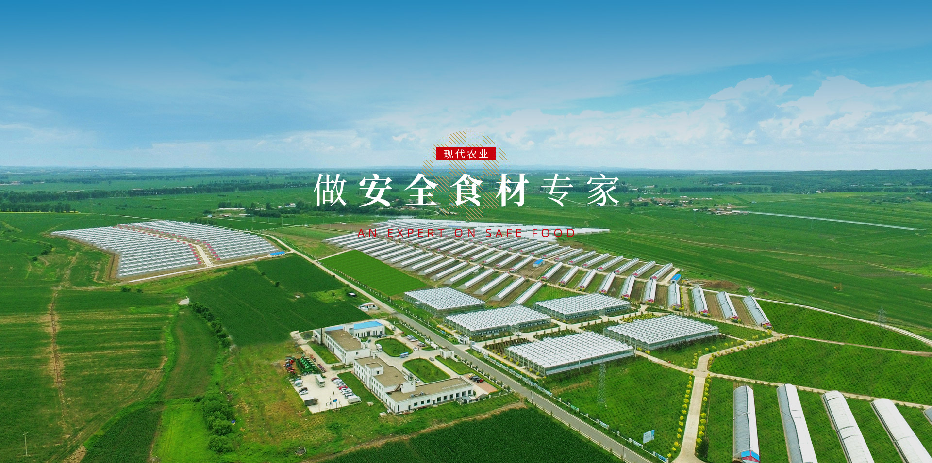 mg不朽情缘(中国)官方网站