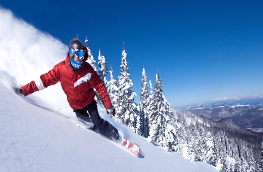 mg不朽情缘(中国)官方网站