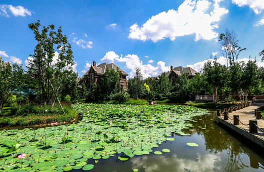 mg不朽情缘(中国)官方网站