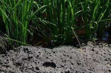 mg不朽情缘(中国)官方网站