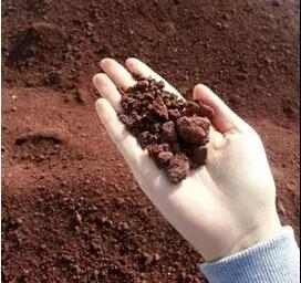 mg不朽情缘(中国)官方网站