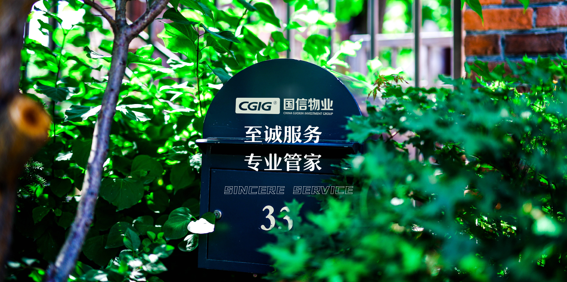 mg不朽情缘(中国)官方网站