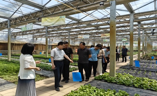 2024年6月27日，，，，，，中国绿色食物生长中心相关向导莅临农业总公司考察调研_副本.jpg
